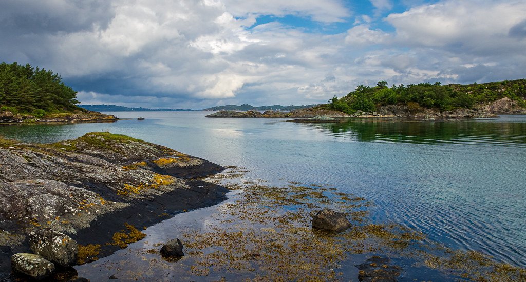 Nautøy, Norway by Vest der