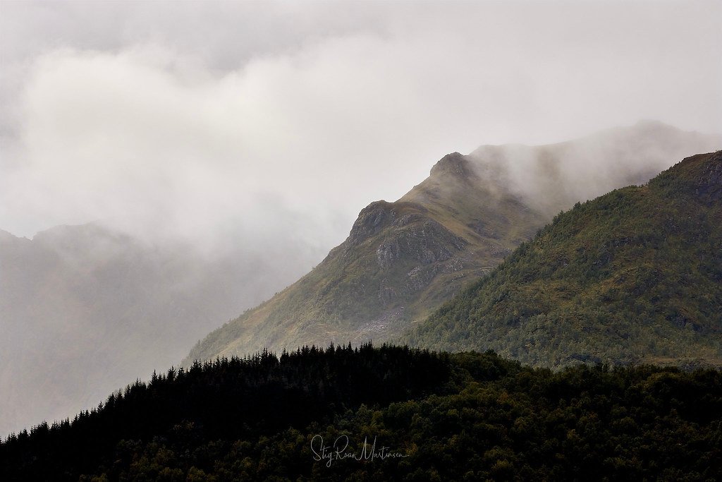 Trees and mountains by Stig