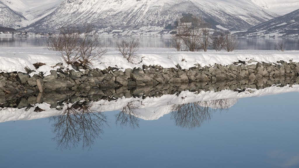 Reflections by tjonassen  <