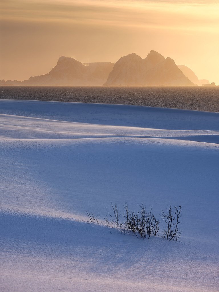 Polar desert by lionel.fell